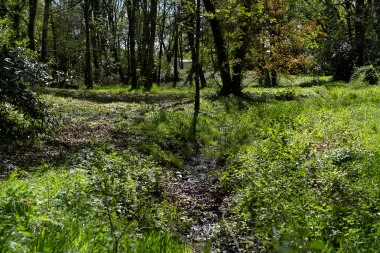 Parc du Limancet St Medard ruisseau asseche.